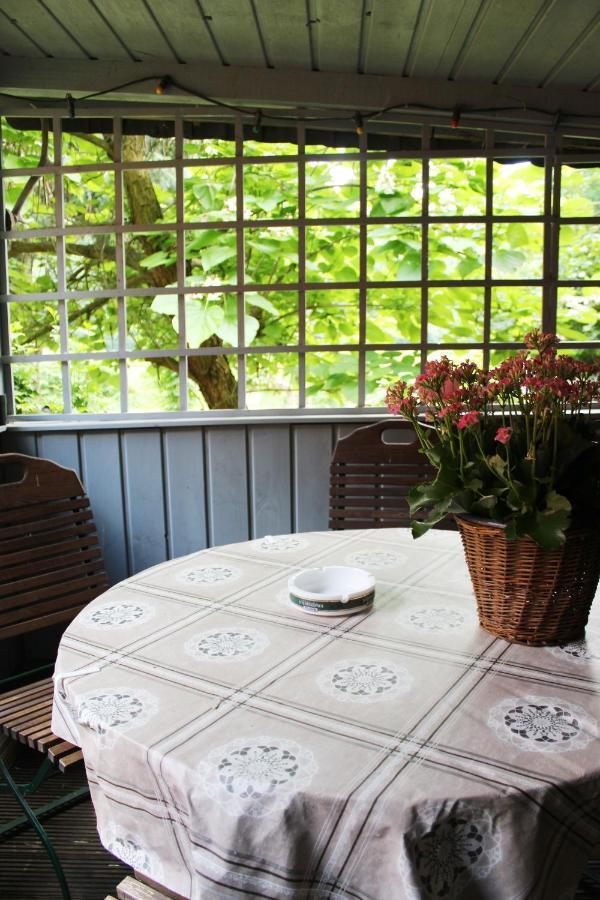 Ferienhaus Franz - An Der Elbe, Mit Grossem Garten Pirna Exterior foto